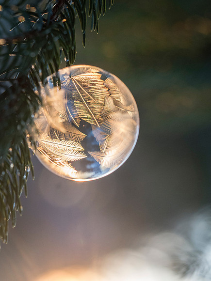 aaron-burden-wPy71r8Hi_s-unsplash