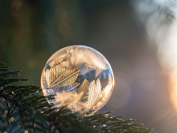 aaron-burden-wPy71r8Hi_s-unsplash