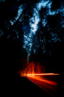 brad-fickeisen-mCN0831nfB4-unsplash