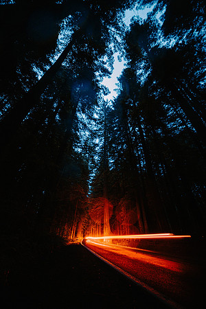 brad-fickeisen-mCN0831nfB4-unsplash