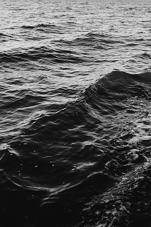 andrew-neel-DxvKm-aIoNo-unsplash