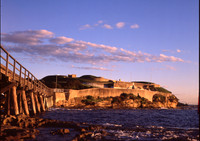 (1)Bare_Island